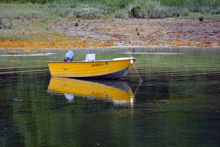 yellow boat on water